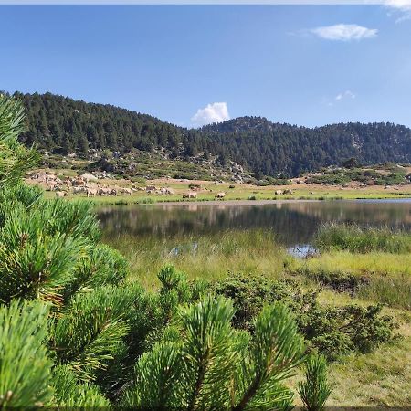 Residence Orazur: Charming Apartment with Wood Stove and Garden Font-Romeu-Odeillo-Via Exterior photo